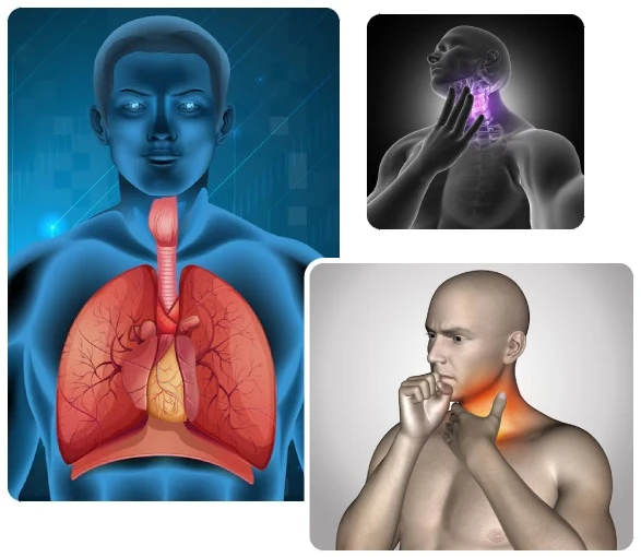 Endocrine Symptom Img