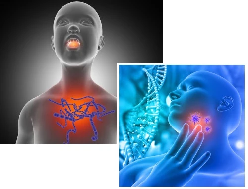 Understanding Endocrinology Img